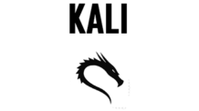 Como Instalar Kali Linux